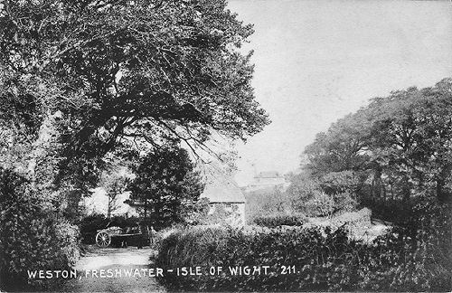 weston totland